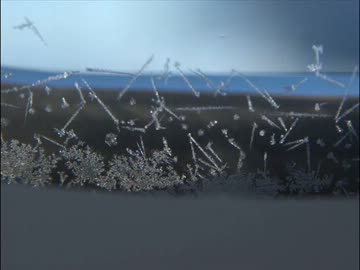 エンコード・ノイズ / haruna808