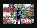 伊右衛門-Remix-