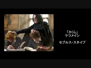 【ハリポタ】ハリポタでキャラクターイメージソング集・後【イメソン】