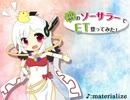 ソロ型ソーサラーでET登ってみた【Ro】その1