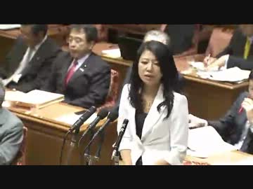 12年06月05日 衆議院 社会保障 税特別委員会 早川久美子 民主党 ニコニコ動画