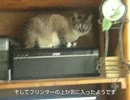 ジャンくんの行動が大胆になってきました