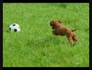 MR20120604