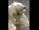 【村松健】夢の扉 後半