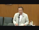 06.07　衆議院　総務委員会　谷公一議員（自民）