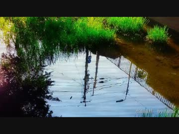 【ＮＮＩ】水面電柱【オリジナル】