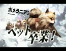 気がついたらTOKYO JUNGLE　vol.01 【しろ実況】