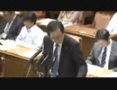 2012年06月07日【衆議院】社会保障・税特別委員会 斉藤鉄夫(公明党)