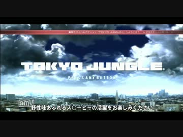 【TOKYO JUNGLE】生きもの渋谷紀行（２）
