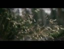 Moddi - Rubbles