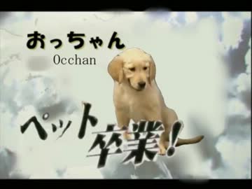 本格的ｻﾊﾞｲﾊﾞﾙ　SHINNIPPORI♂JUNGLE