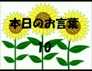 本日のお言葉10