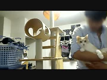 くまちゃんだっこ