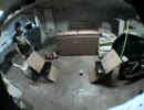玉を投げる→コップに入る→すげー！