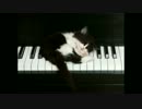 【あるいは】ラルクアンシエルのBYE BYEをピアノ編曲してみた