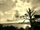 【オリジナル曲】Sepia(demo)【サンプリング】