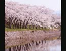 凡人が千本桜をアレンジしてみた【吹奏楽】