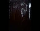 1雪月花-幻世界-白雪少女.wmv