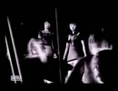 【零】姉妹と双子が迷い込んだ地図から消えた村　Part19【紅い蝶】