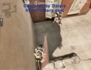 【SF2】 トレーニングモードで遊ぶ