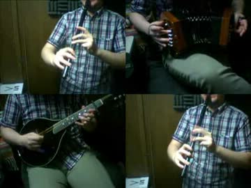 東方地霊殿「旧地獄街道を行く」アイリッシュ楽器等で演奏してみた。