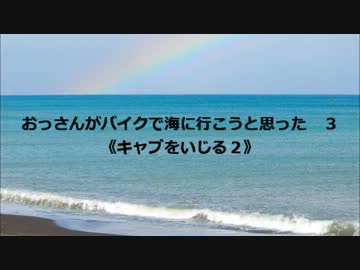 おっさんがバイクで海に行こうと思った　３　《キャブいじり　２》