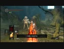 還暦おやぢのダークソウル・LV10の戦い（8）
