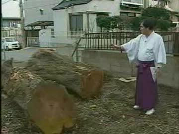 神社の御神木を住宅販売業者が伐採