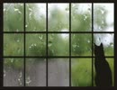 六月十三日、強い雨。 / 安藤裕子