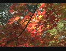 秋の紅葉と三滝