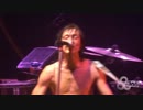 Gogol Bordello - Immigraniada【Live】