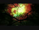 Richard Hawley - Down In The Woods