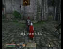 TES4：ReplayFile025