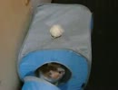 2012_06140019.AVI