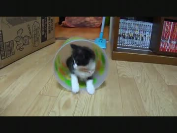 せっかくひとりであそんでたのに…ッ!!