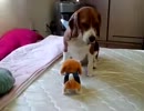 かたまる、たろお