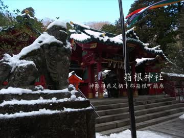 【高画質】古社の風景 ～相模 箱根神社～