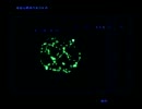 【PSO】 A New Hope 神殿 01
