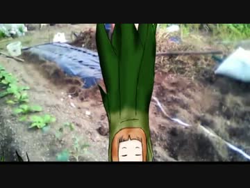 （ワケギの気持ちになるですよ）.mp4