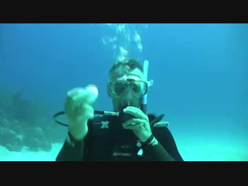 水深２０㍍で生卵を割ってみた