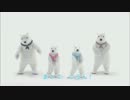 【しろくまのきもち】｜2012 テレビCM（30秒ver.）