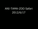【コメント】ANI-TAMA-ZOO Safari 12/06/17【専用】