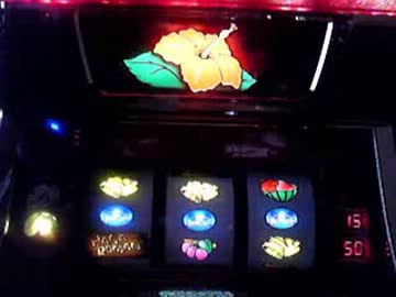 テスト　花浪漫【４号機】