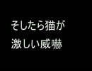 【２ｃｈ】小ネタ集７【オカルト板】