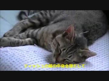 おっさんがバイクで海に行こうと思った　７