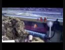 IMG_0011.avi