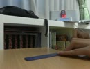 【まちゃろー】SCARLET_ZONEをプラ定規で弾いてみた