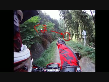林道の帰り道で【ＫＬＸ２５０】