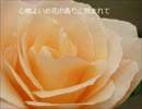 花葬花の癒しのお葬式