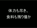 ピカチュウと喧嘩しながらのんびり実況 Part28